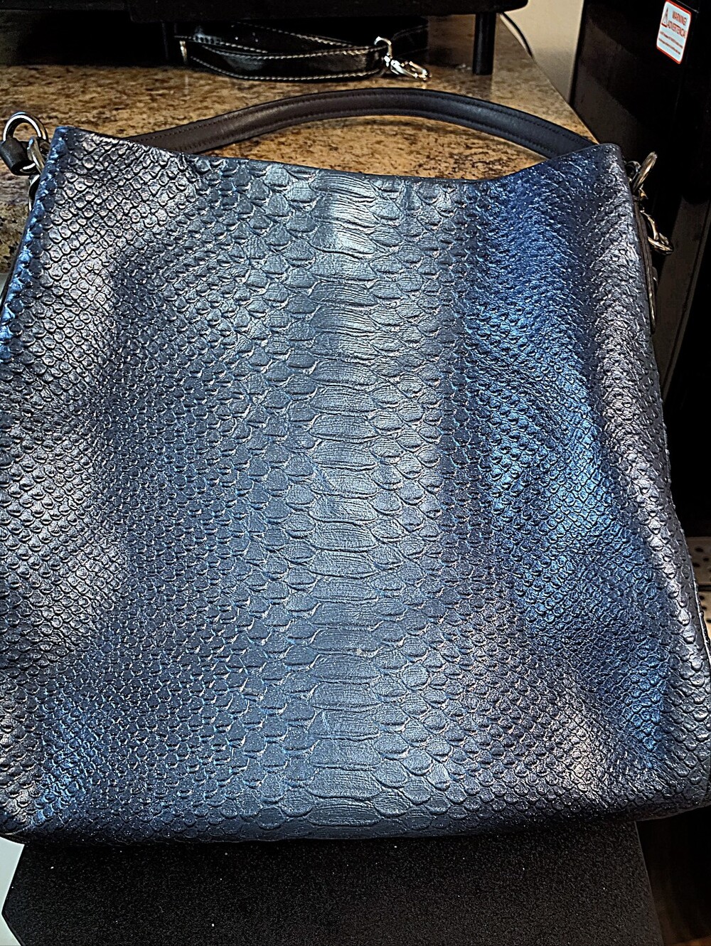 Embossed Metallic Snakeskin Coach Phoebe Leather Bag